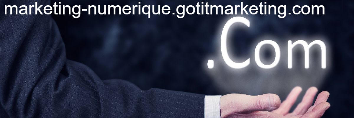 marketing-numerique.gotitmarketing.com